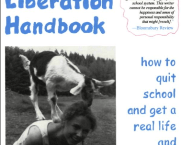 The Teenage Liberation Handbook by Grace Llewellyn PDF eBook