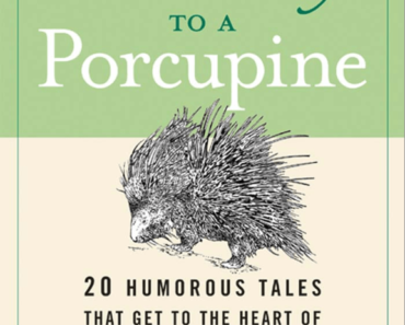 What To Say To A Porcupine by Richard S. Gallagher PDF eBook